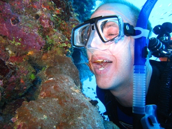 Diving in Fiji, shrimp cleaning Craig's teeth